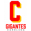  Carolina Giants