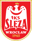  Wroclaw Women's Basketball Team Logo