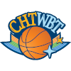  China Telecom Women's Basketball Team Logo