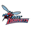  Delaware State University Team Logo