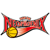  Sanyuan New Phoenix Team Logo