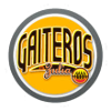 盖特罗斯苏利亚 logo
