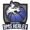  Heleyu Women's Basketball Team Logo