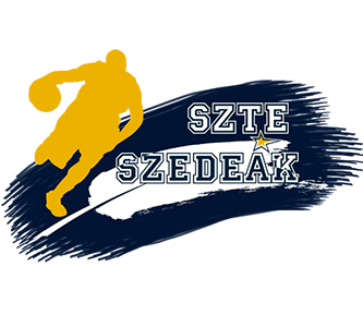  Sisdak Team Logo