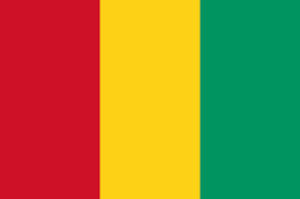  Guinea Team Logo