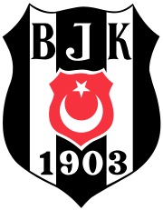  Besiktas Women's Basketball Team Logo