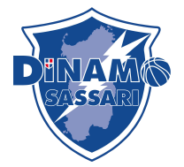  Salidinamo Team Logo