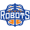  Ibaraki Robot Team Logo