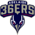  Adelaide 36 player team logo