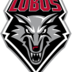  University of New Mexico Team Logo