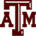  Team standard of Texas A&M University