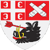  Radnicki KG Team Logo