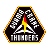  Horse Thunder Crane Team Logo