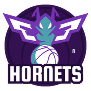  Charlotte Hornets 