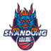  Shandong Expressway Team Logo