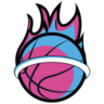  Miami Heat Logo