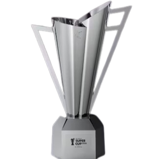 韩国超级杯冠军