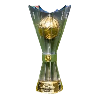 南美U20锦标赛冠军