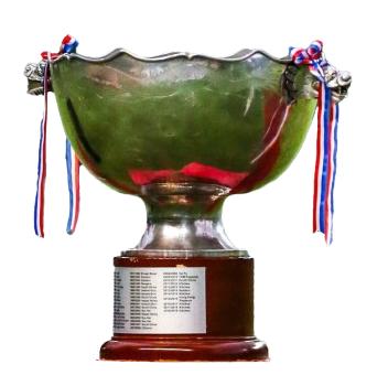 香港足总杯冠军