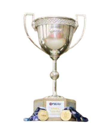 巴西里约杯冠军