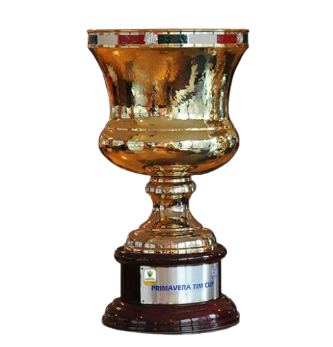 意大利青年杯冠军