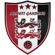  Anet Gadens Team Logo