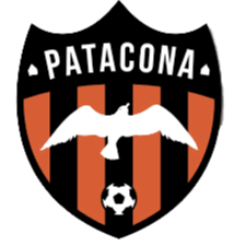  Patacona