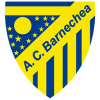  Ballecher Team Logo