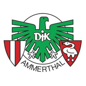  DJK Hammer Team Logo