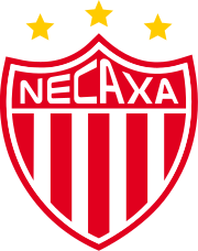  Neckasa Team Logo