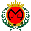  Montejo Team Logo