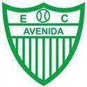  Avinida Team Logo