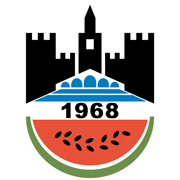  Diyarbakir Sports Team Logo