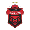 Wollongong Wolves U20