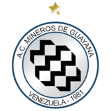 瓜亚那矿工  logo
