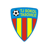 索科尔塔索维斯  logo