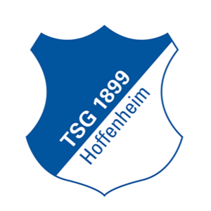  Hoffenheim Team Logo