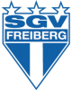  Feyberg Team Logo