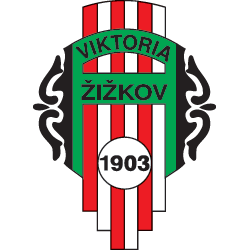  Ziskov Team Logo