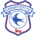  cardiff city 