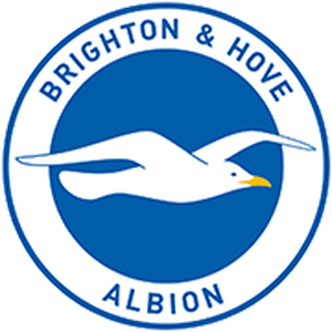  Brighton Team Logo