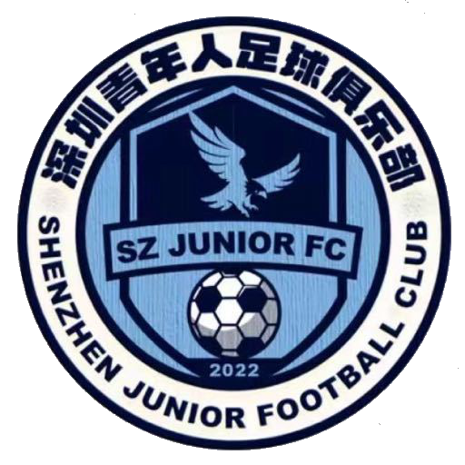  Shenzhen Youth Team Logo