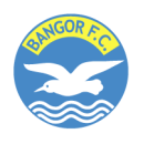  FC Bingao