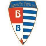  Berdya Team Logo