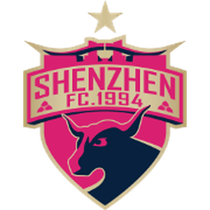 深圳队(1994-2024)