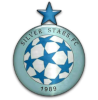 银星队 logo