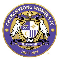 昌宁女足 logo