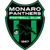 莫納洛黑豹U23