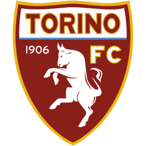  Turin Team Logo