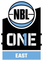 霍恩斯比蜘蛛VS伊拉瓦拉沃拉塔鹰